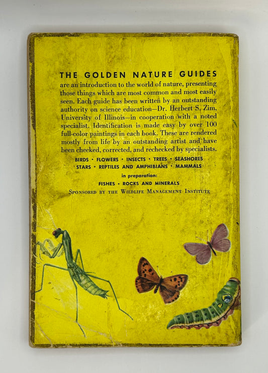 Insects, a Guide to Familiar American Insects (1956)