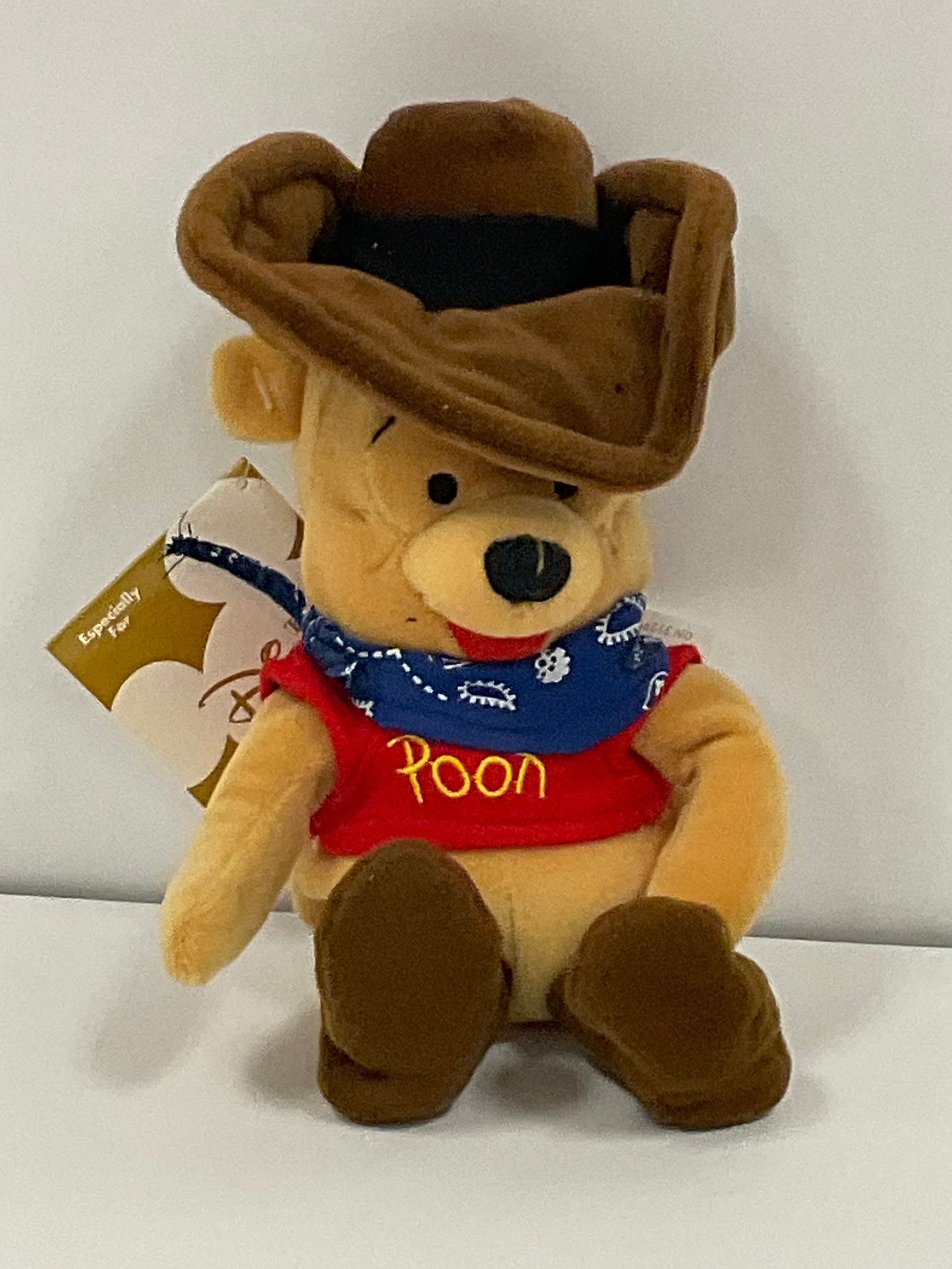 Cowboy Winnie the Pooh Bear & Friends Vintage Mini Beanbag Beanie Plush Disney Collectible