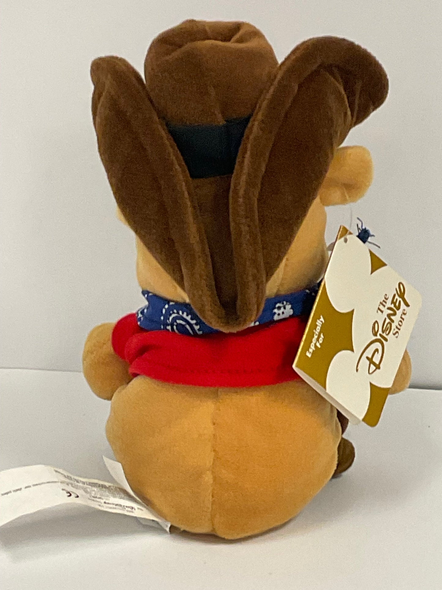 Cowboy Winnie the Pooh Bear & Friends Vintage Mini Beanbag Beanie Plush Disney Collectible