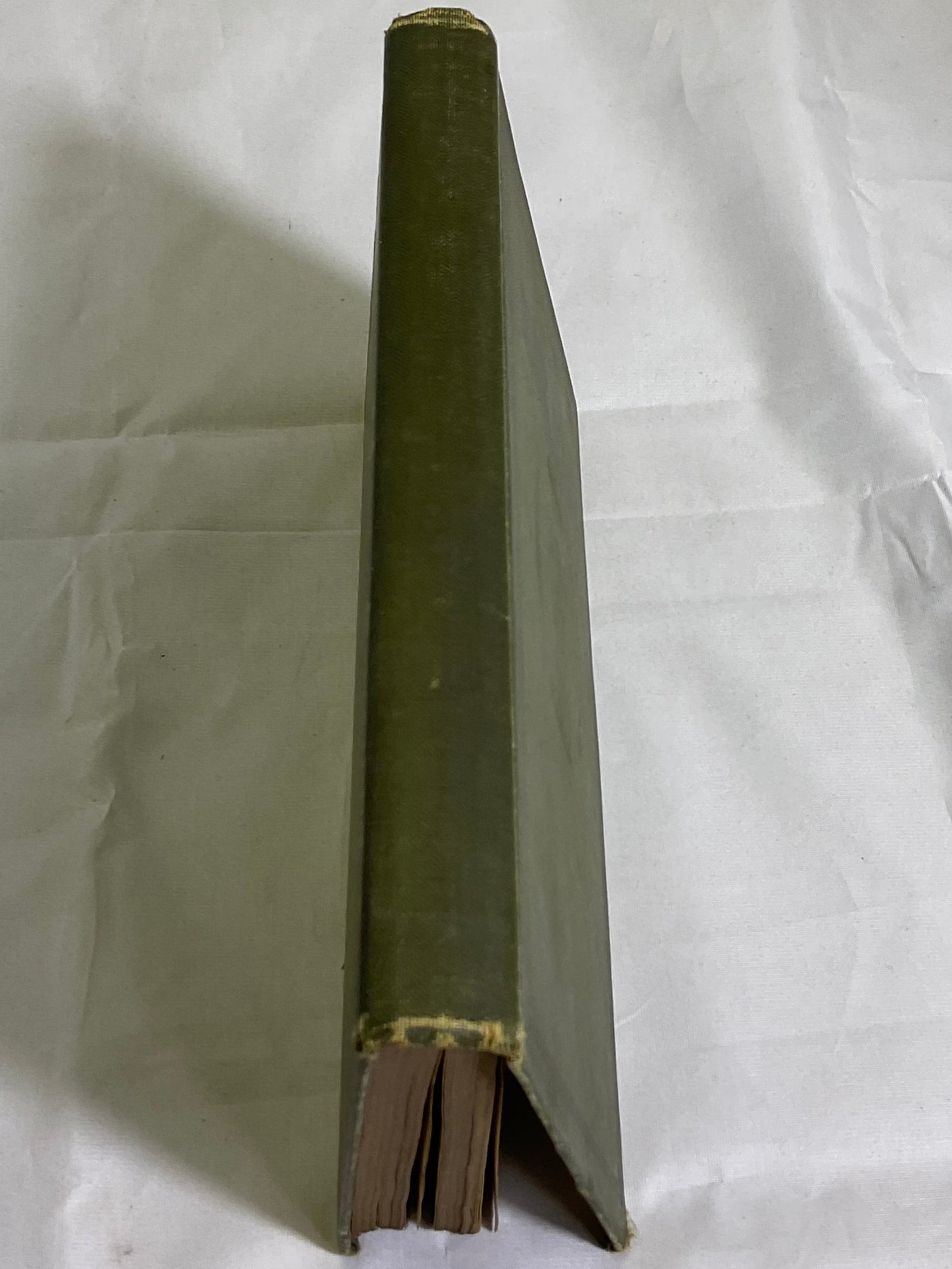 Bible Songs No. 4 United Presbyterian Board of Publication Vintage 1917 Antique Hardback Book