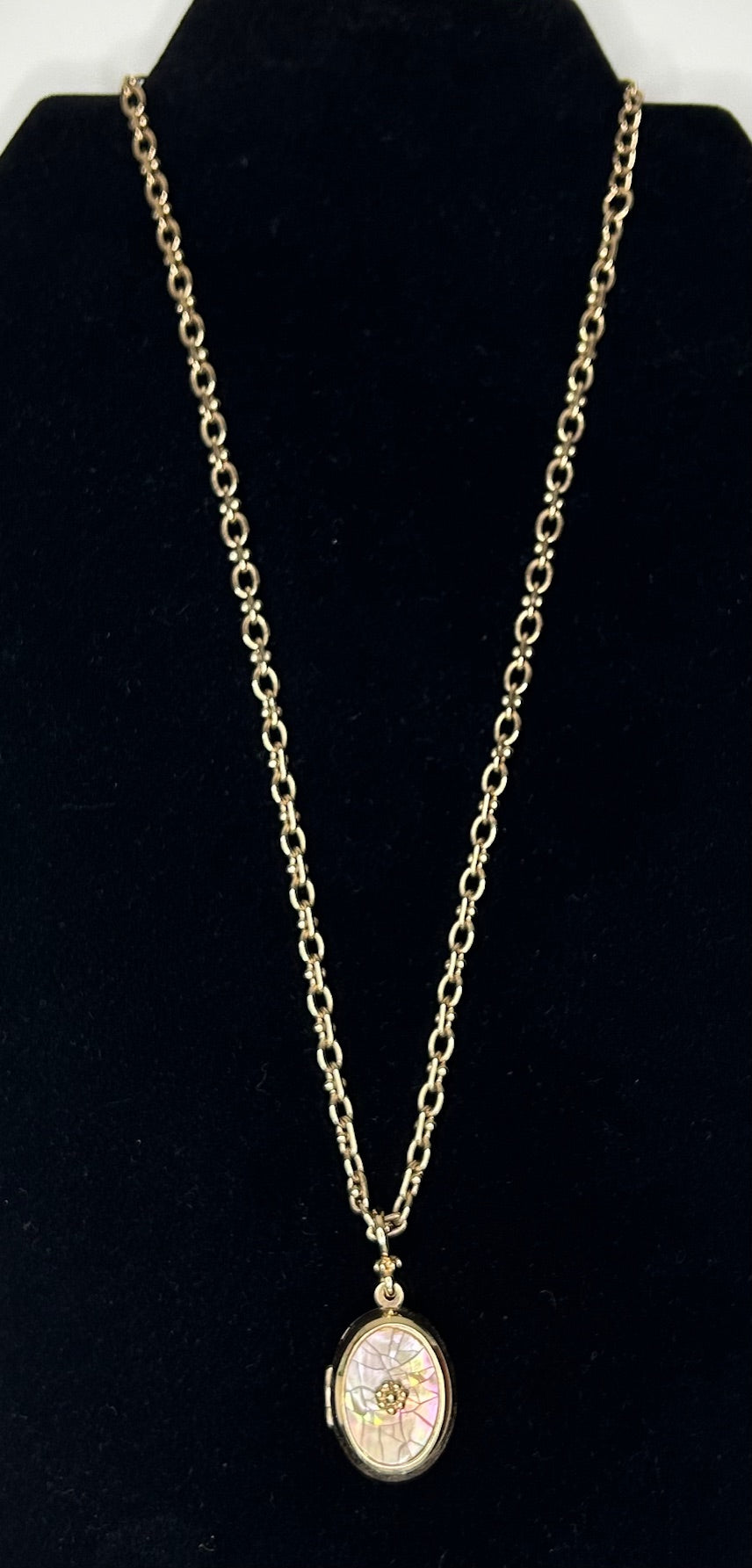 Lauren Conrad Mother of Pearl Mosaic Locket Necklace 19"