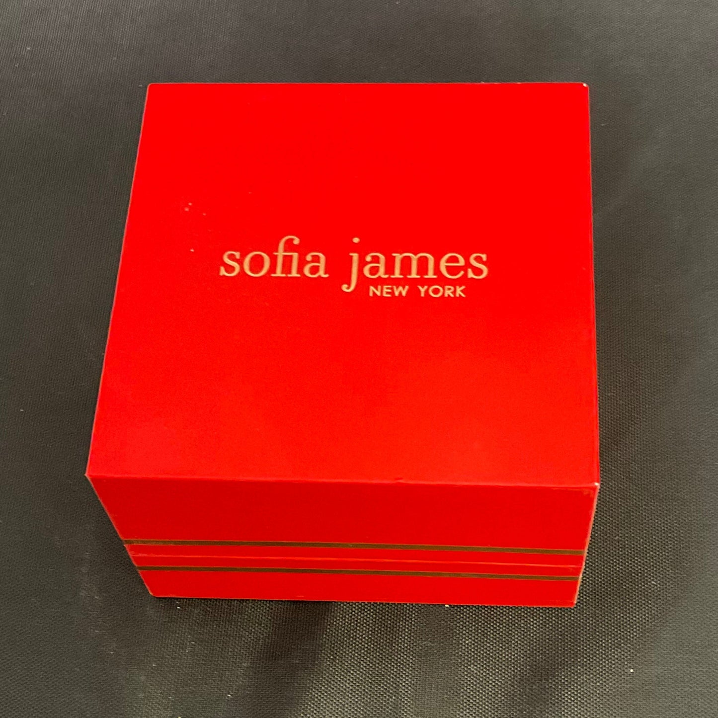 Sofia James New York Swarovski Crystal Hoop Earrings