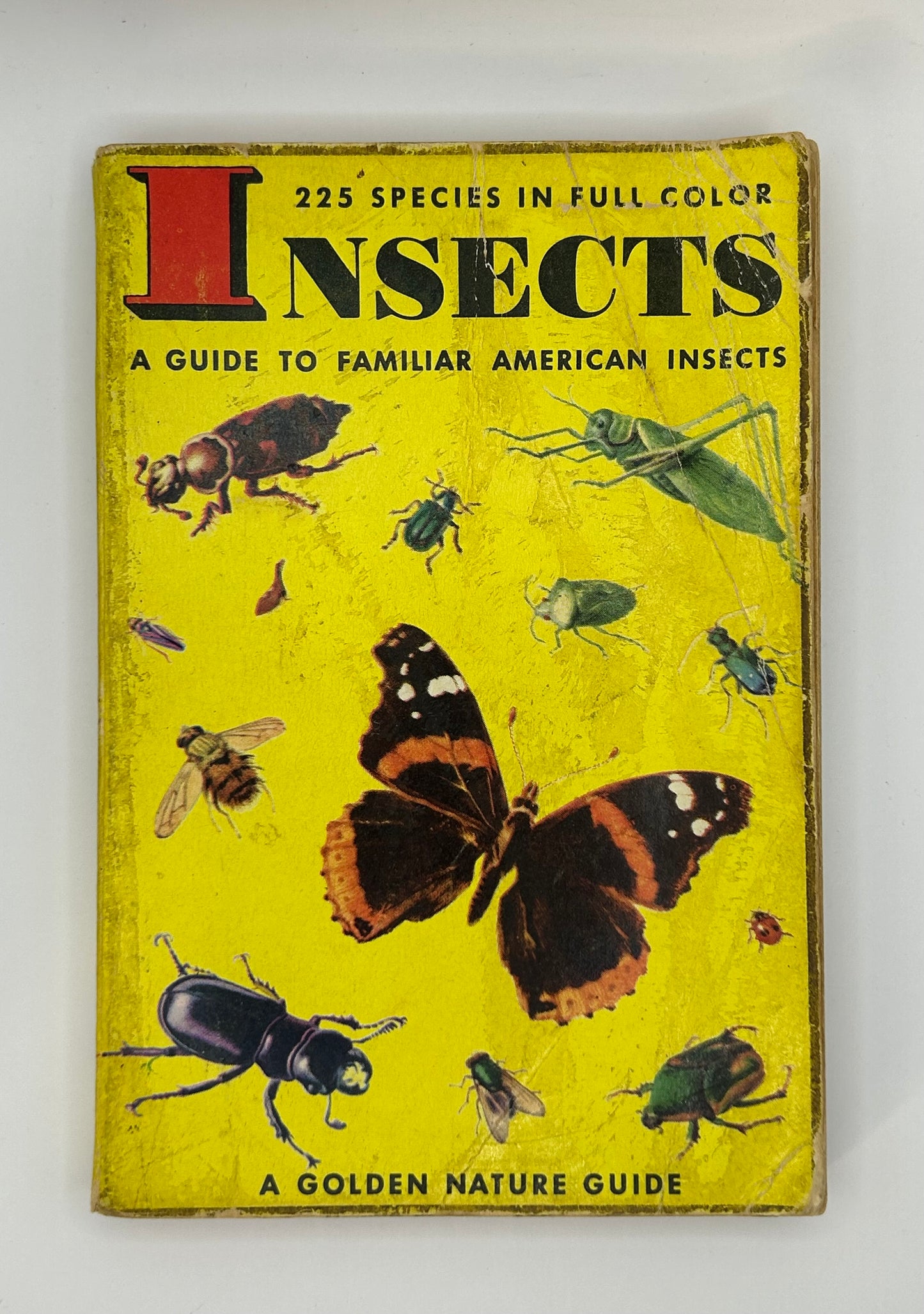 Insects, a Guide to Familiar American Insects (1956)