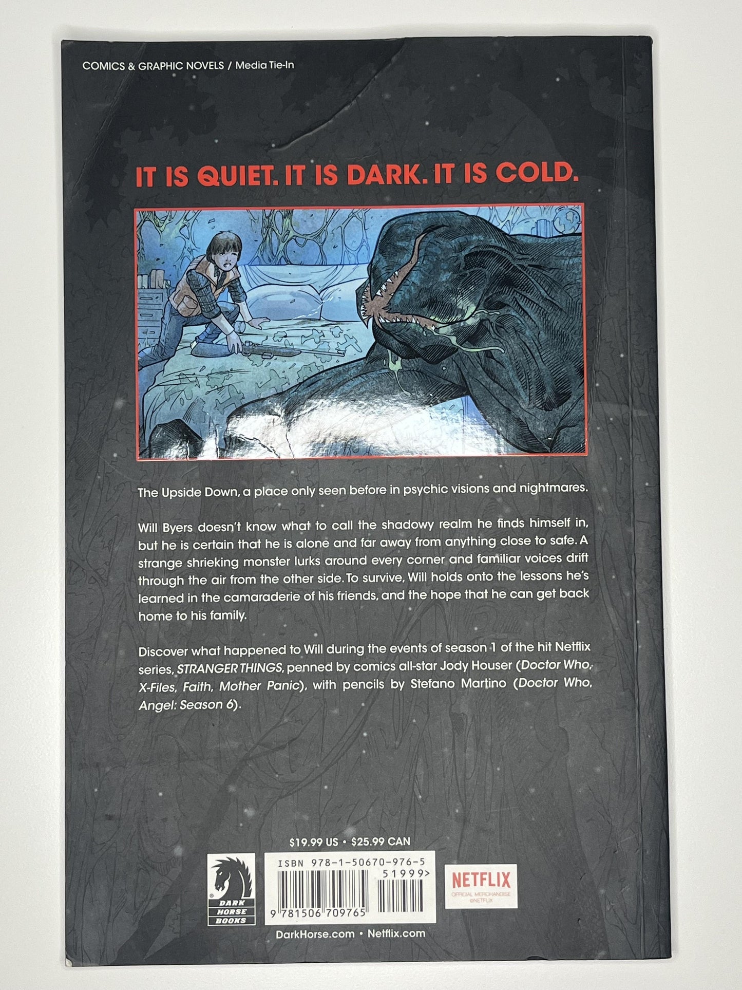 Stranger Things: The Other Side