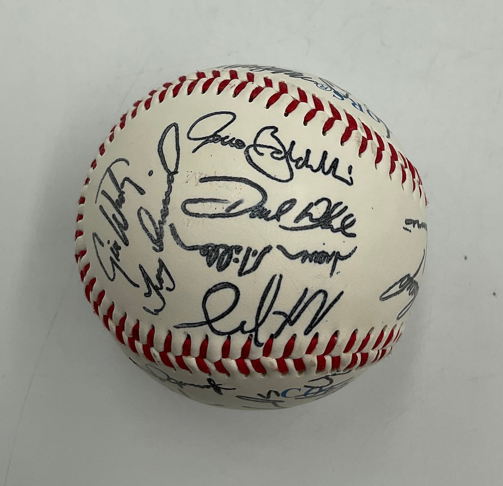 Tampa Bay Rays AL East 2008 Champions Team Signed Baseball