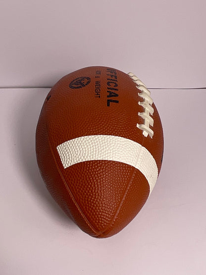 Steve Spurrier University of Florida UF Gators Head Coach Autographed Football No COA