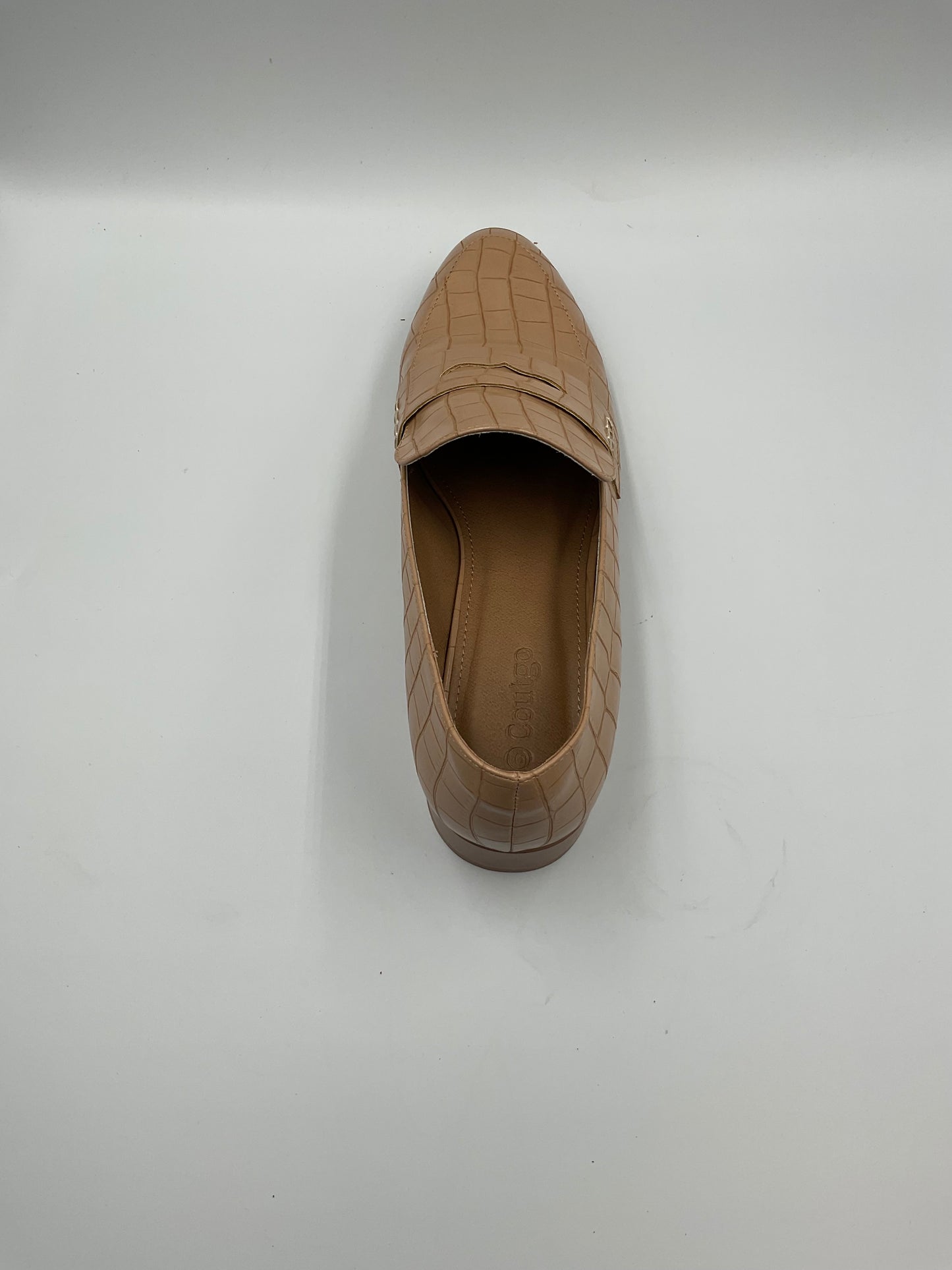 Aldo Adrelini Penny Loafer Size 10