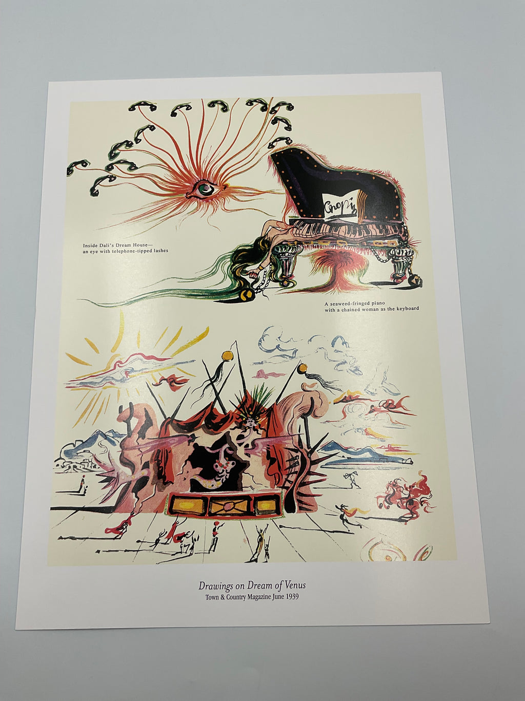 Vintage Salvador Dali Museum St Petersburg FL Dalí & Advertising Portfolio