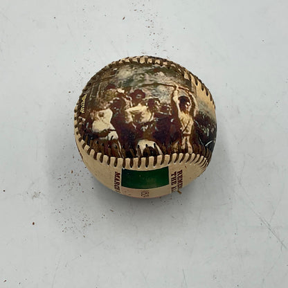 Remember The Alamo Baseball Souvenir