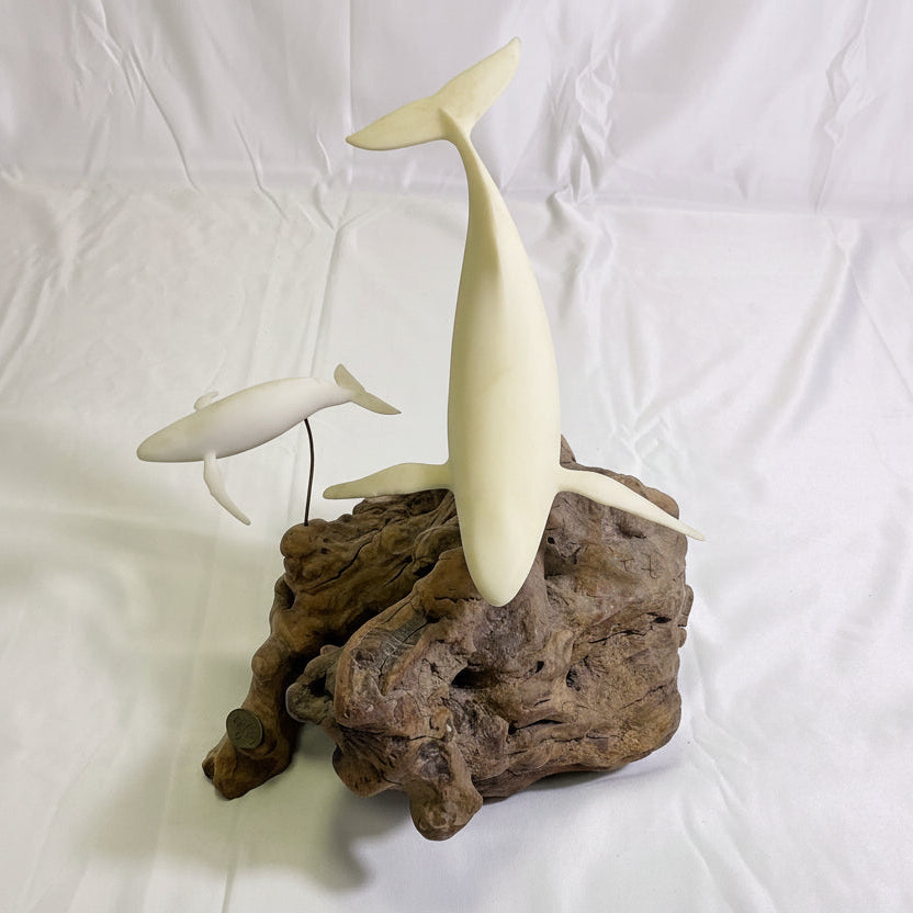 White Mother & Calf Humpback Whales Sculpture with Burlwood Base by John Perry