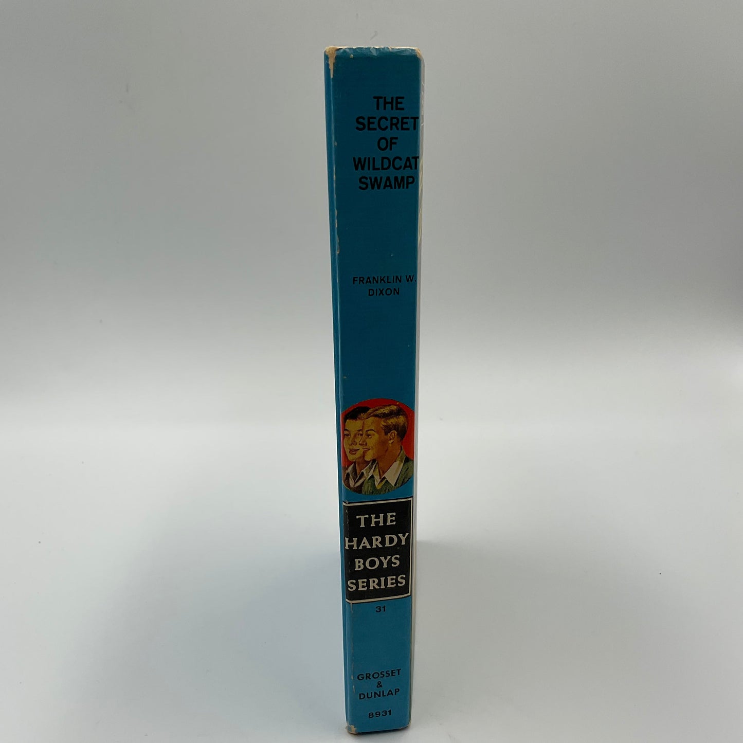 The Hardy Boys Series Bundle