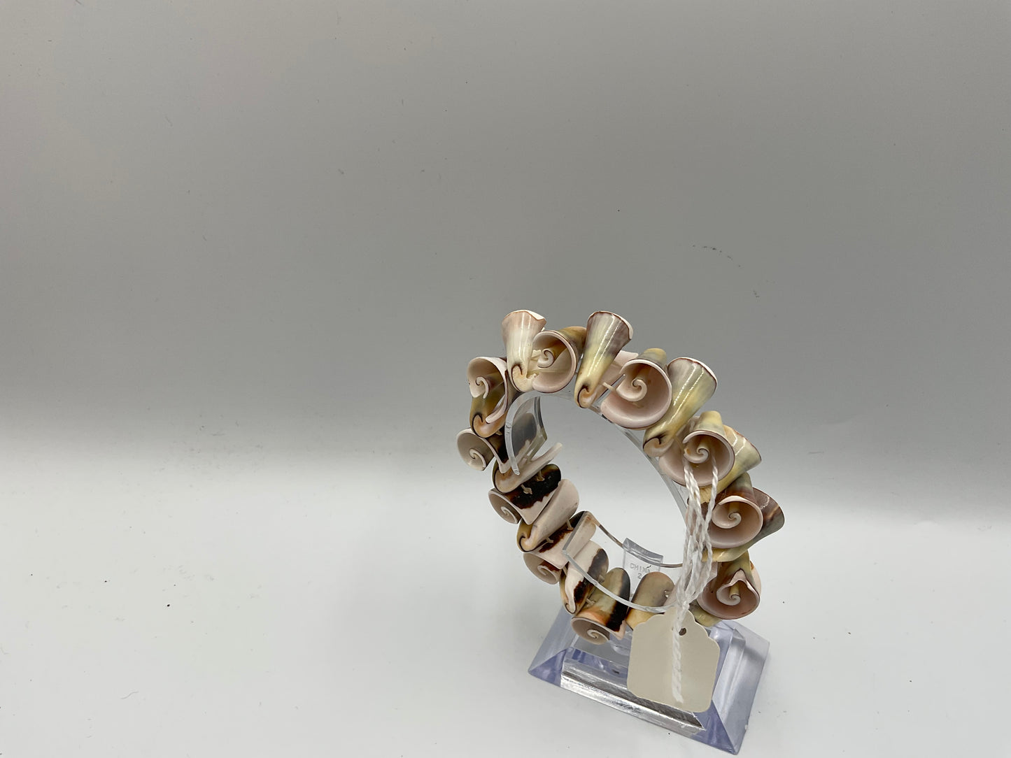 Natural Spiral Shell Bracelet