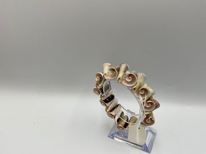 Natural Spiral Shell Bracelet