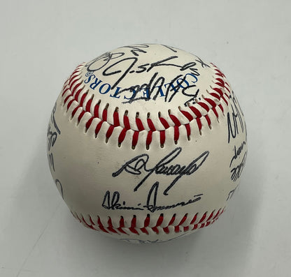 Tampa Bay Rays AL East 2008 Champions Team Signed Baseball
