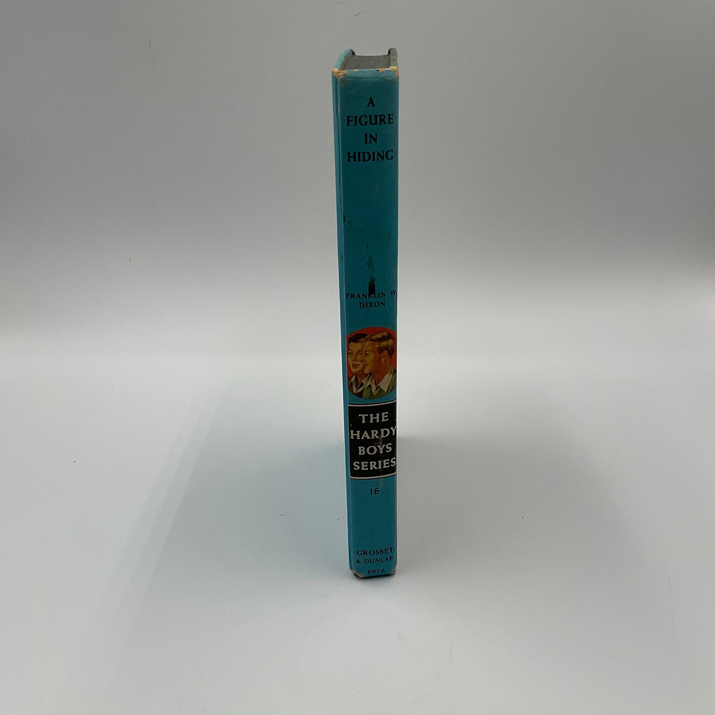The Hardy Boys Series Bundle
