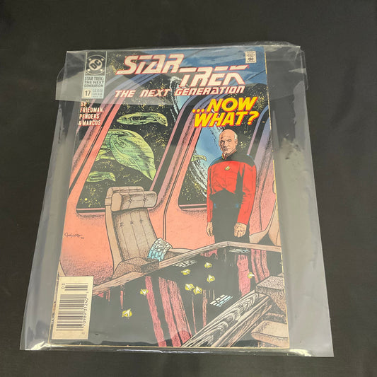 Star Trek The Next Generation Now What? No. 17