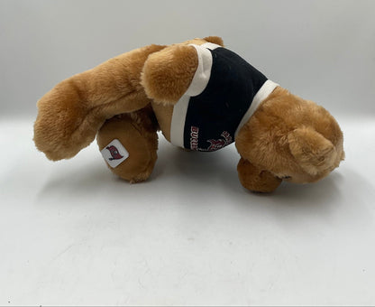 NFL Tampa Bay Buccaneers Football Plush Stuffed Teddy Bear