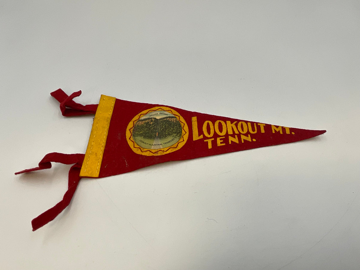 Vintage Souvenir Felt Pennants Collection