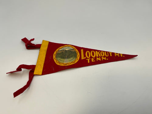 Vintage Souvenir Felt Pennants Collection