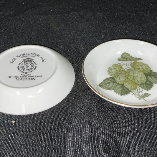 Vintage Royal Worcester Bone China "The Worcester"