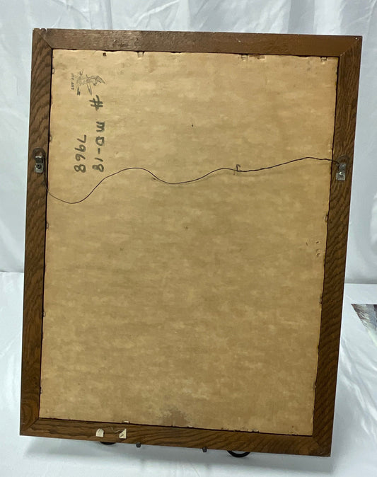 Mark Martin #6 14x20 Framed Picture NASCAR Racing Sports Memorabilia