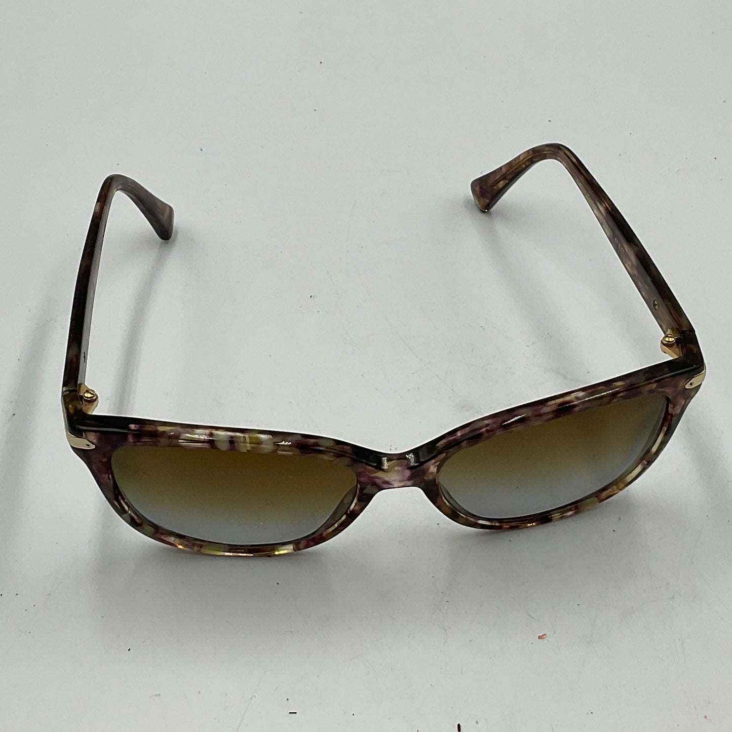 Coach Women’s HC8132 Cat-Eye Sunglasses