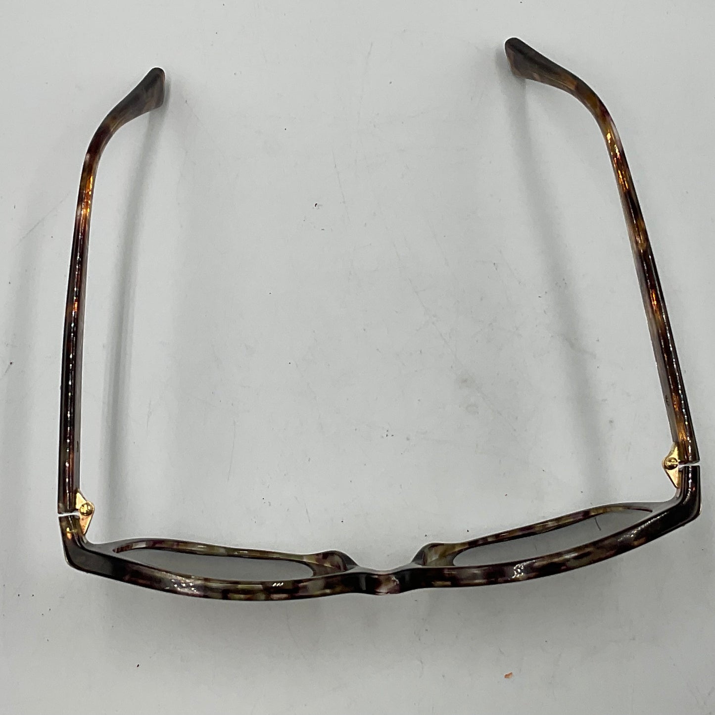 Coach Women’s HC8132 Cat-Eye Sunglasses
