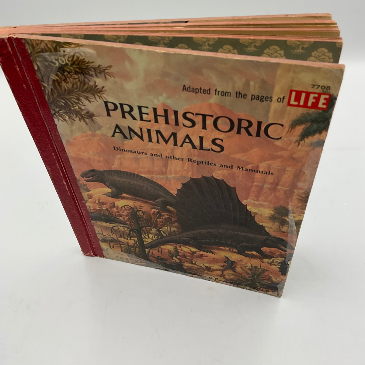 Life Prehistoric Animals Dinosaurs Other Reptiles Mammals Vintage Hardcover Book