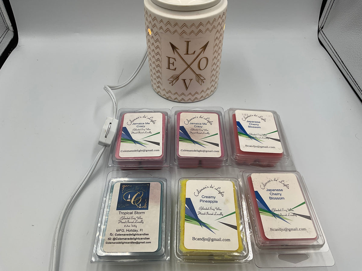 Scentsy Love Swept Wax Warmer With 6 Assorted Scented Wax Melts