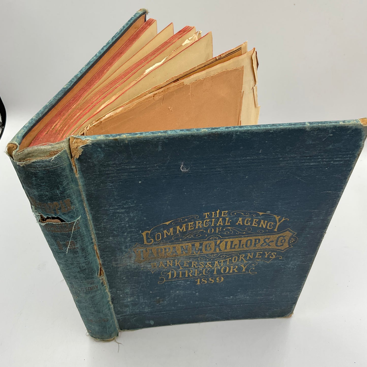 Vintage Hardcover “The Commercial Agency of Tappan McKillop & Co. Bankers & Attorneys District 1889”