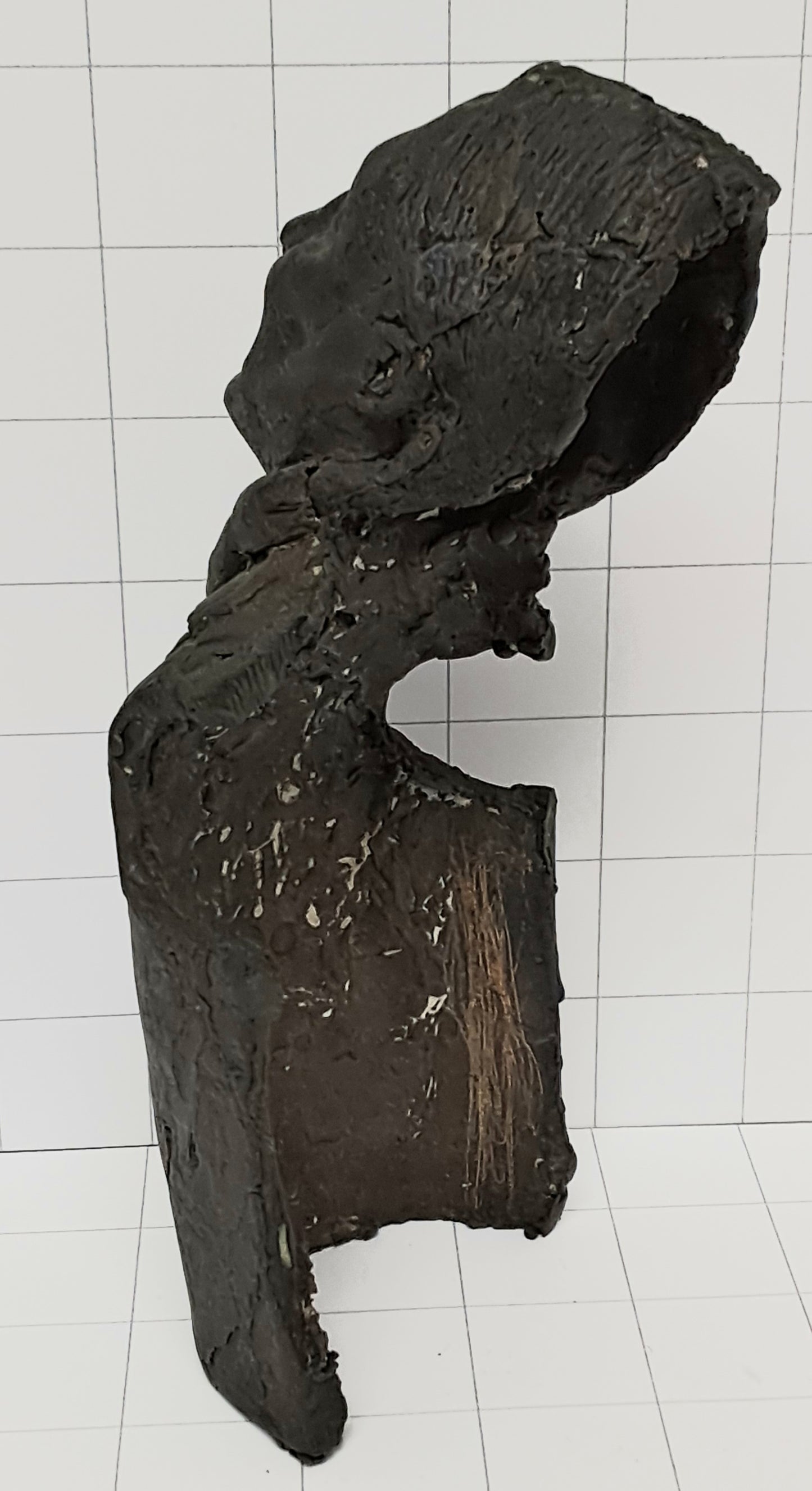 Bronze Bust of Native American in Waistcoat