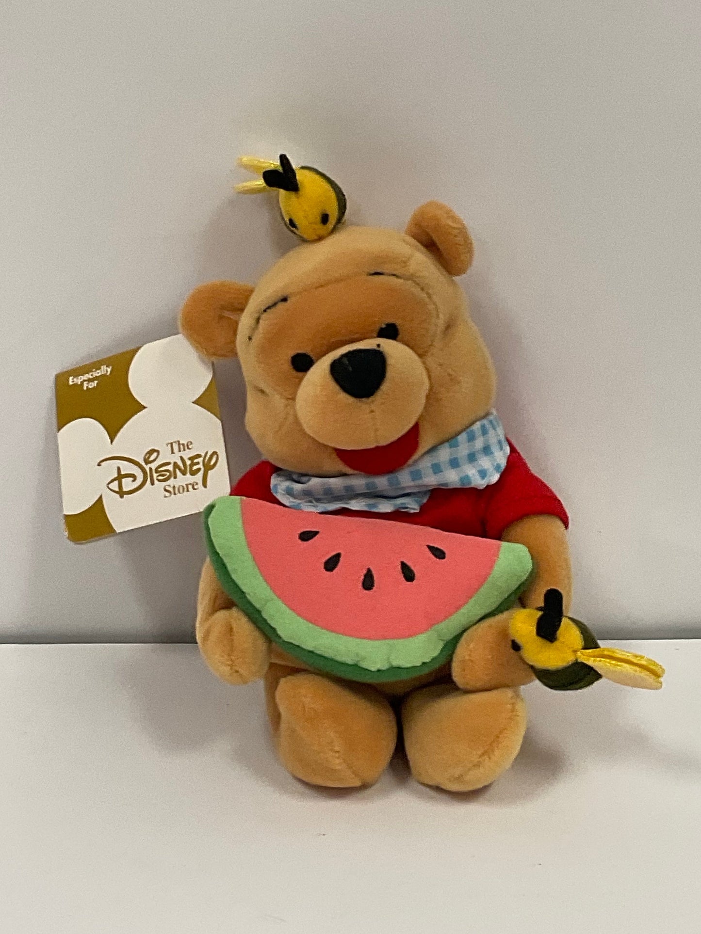 Summertime Watermelon Winnie the Pooh Bear & Friends Vintage Mini Beanbag Beanie Plush Disney Collectible