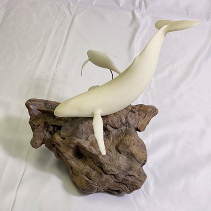 White Mother & Calf Humpback Whales Sculpture with Burlwood Base by John Perry