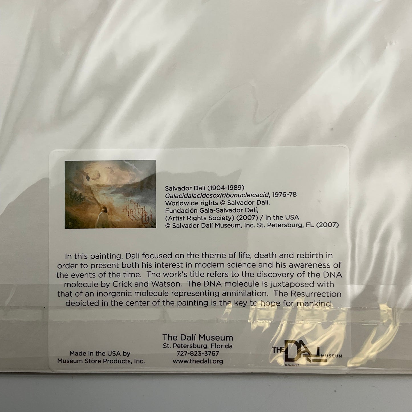 Salvador Dali Museum St. Petersburg Florida Galacidalacidesoxiribunucleicacid Reprint
