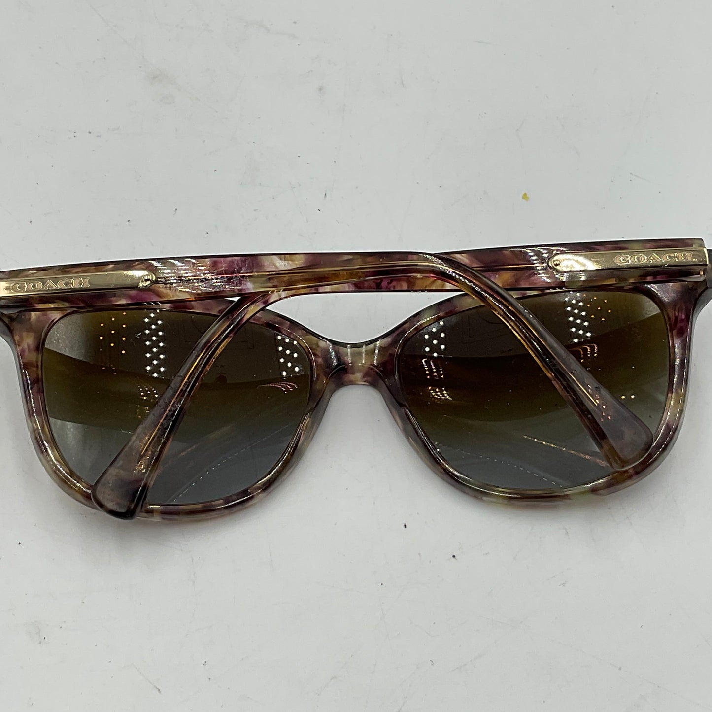 Coach Women’s HC8132 Cat-Eye Sunglasses