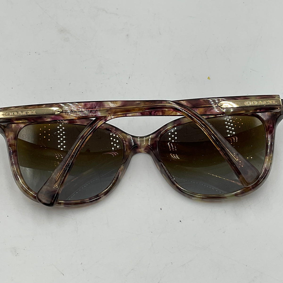 Coach Women’s HC8132 Cat-Eye Sunglasses