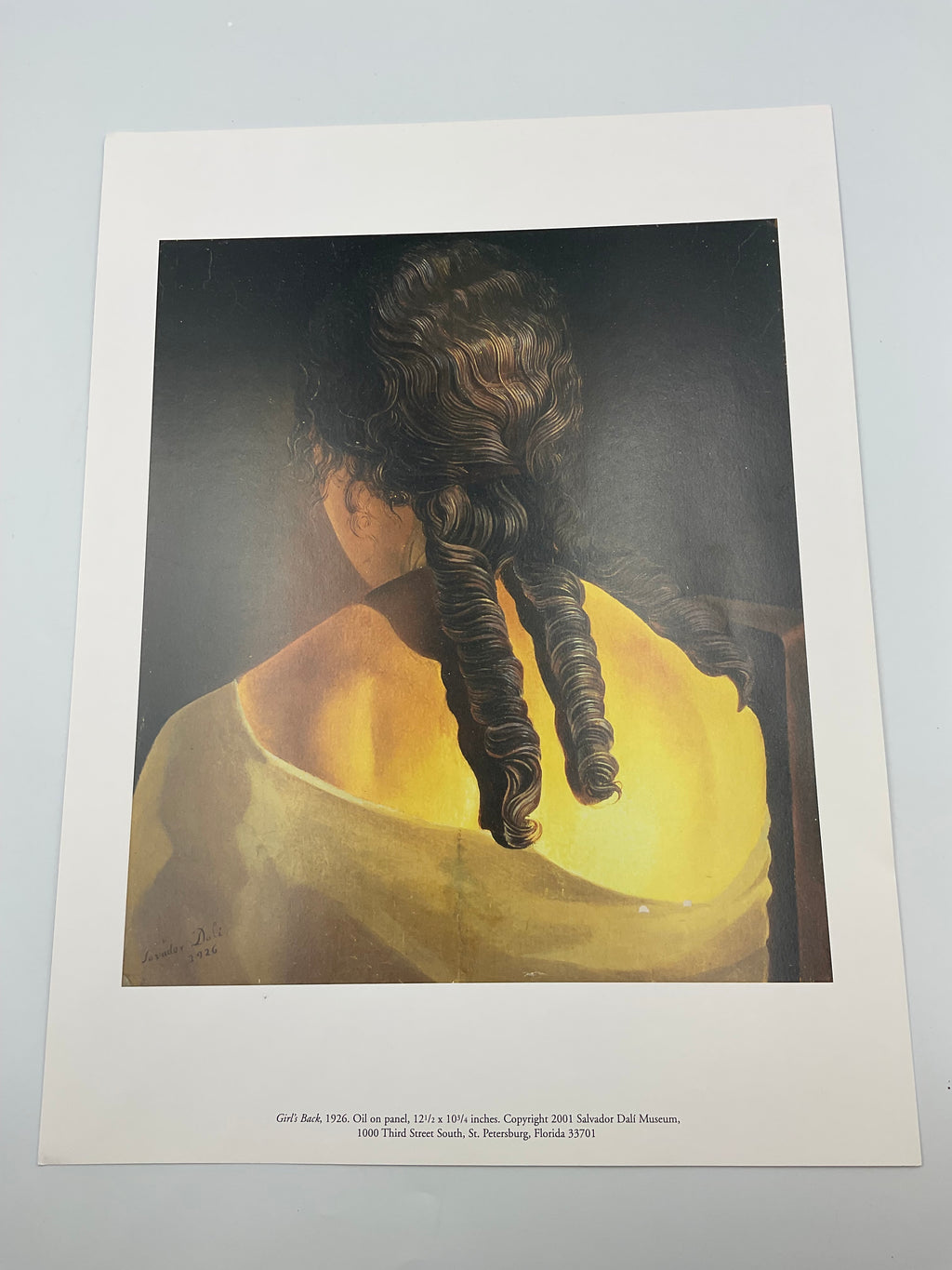 Salvador Dali Museum St Petersburg FL Art Print Portfolio As-Is Lot