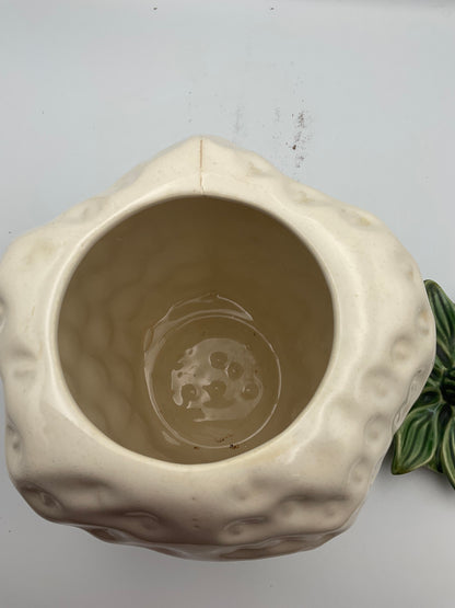 Vintage McCoy Pottery Strawberry Cookie Jar