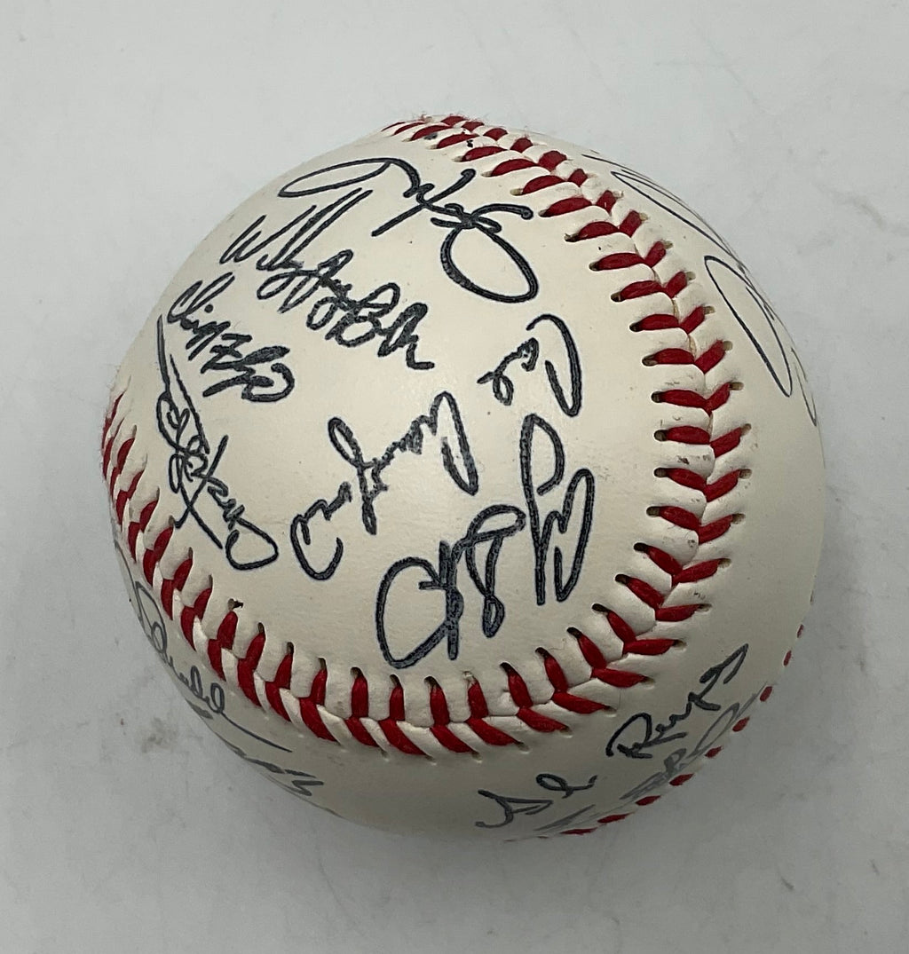 Tampa Bay Rays AL East 2008 Champions Team Signed Baseball