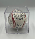 Tampa Bay Rays AL East 2008 Champions Team Signed Baseball