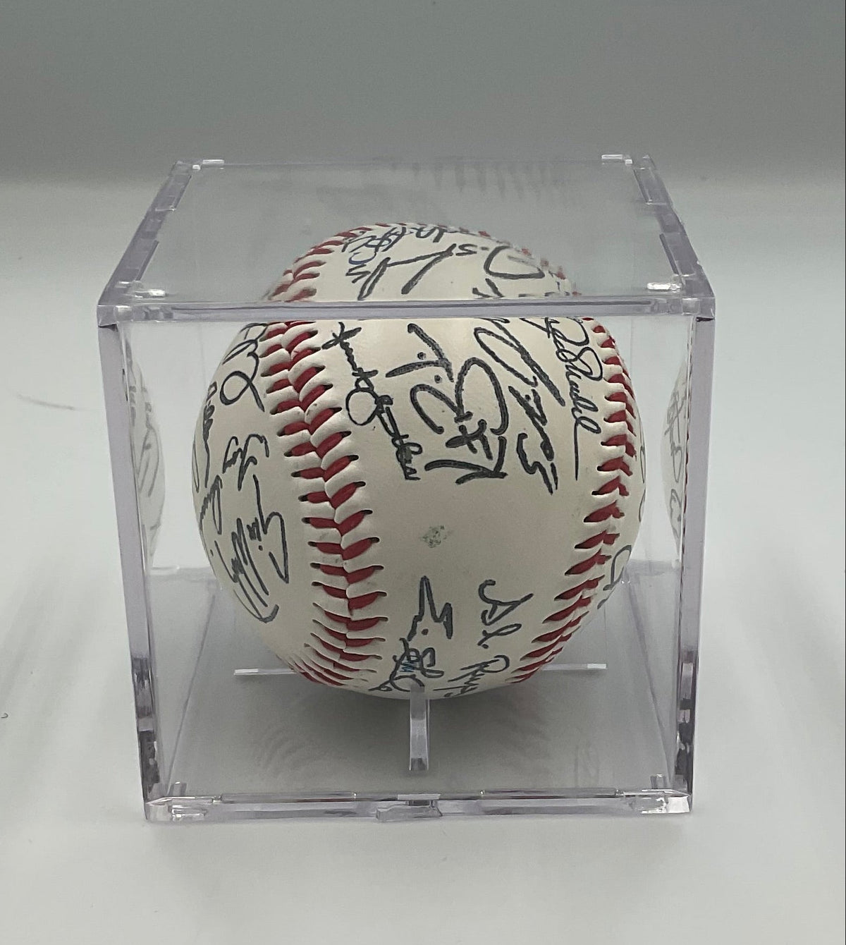 Tampa Bay Rays AL East 2008 Champions Team Signed Baseball