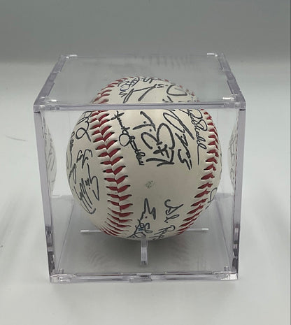 Tampa Bay Rays AL East 2008 Champions Team Signed Baseball