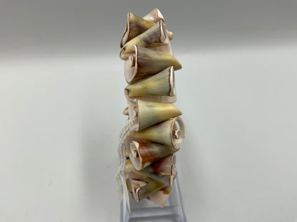 Natural Spiral Shell Bracelet