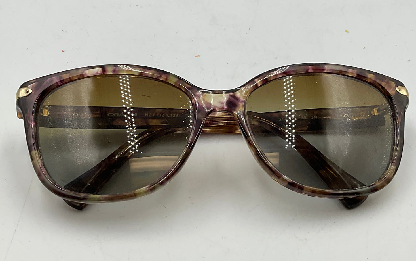 Coach Women’s HC8132 Cat-Eye Sunglasses