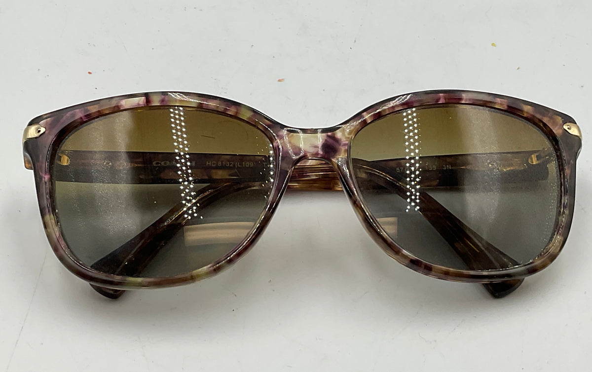 Coach Women’s HC8132 Cat-Eye Sunglasses