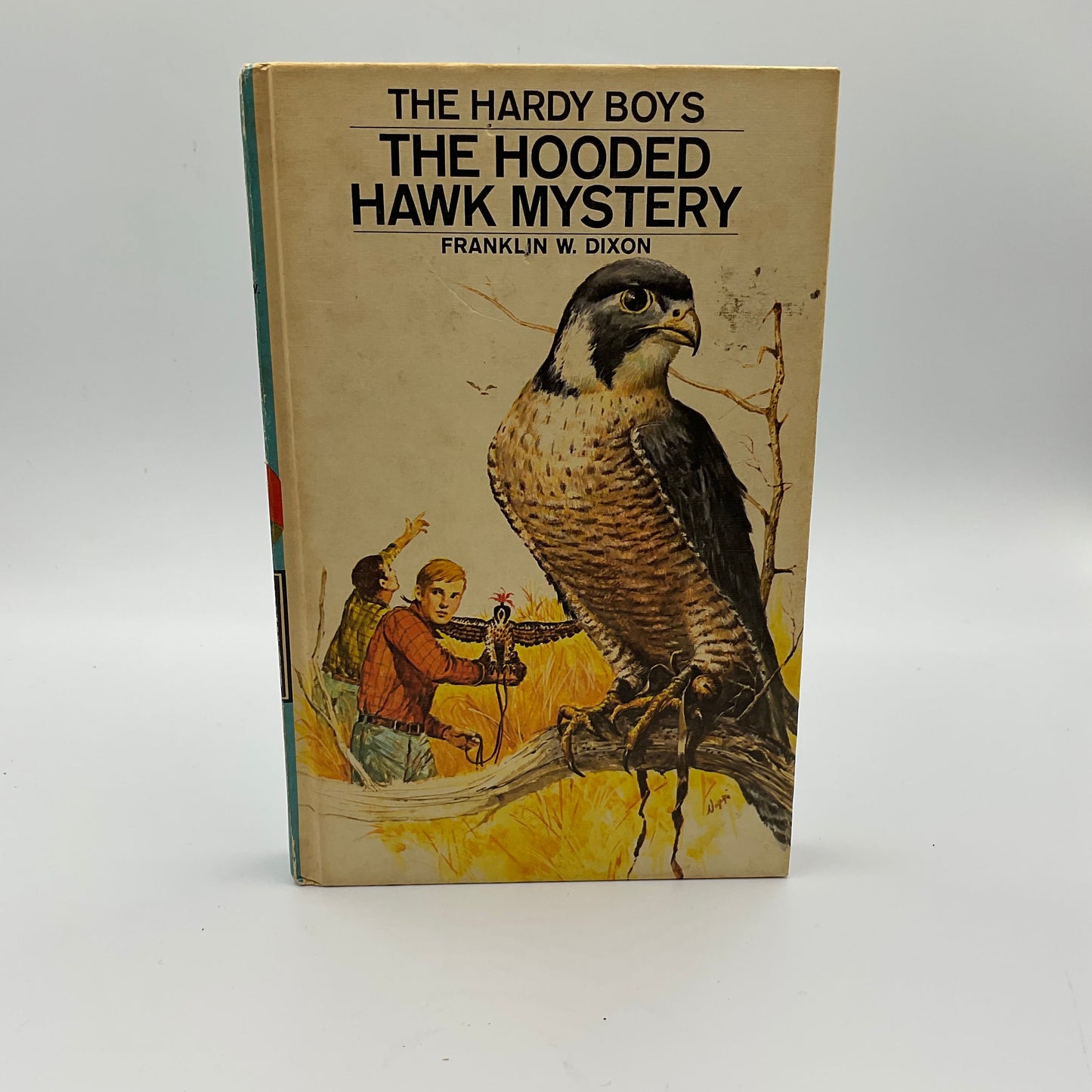 The Hardy Boys Series Bundle