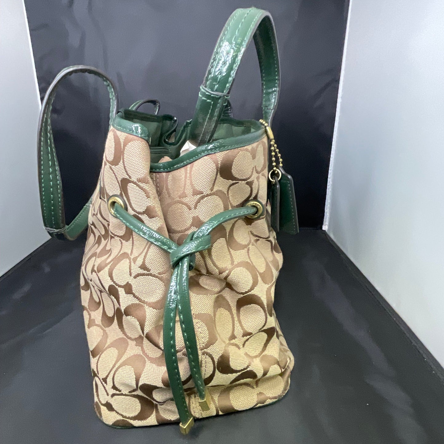 Coach Signature Python Striped Carryall Green Tote Bag