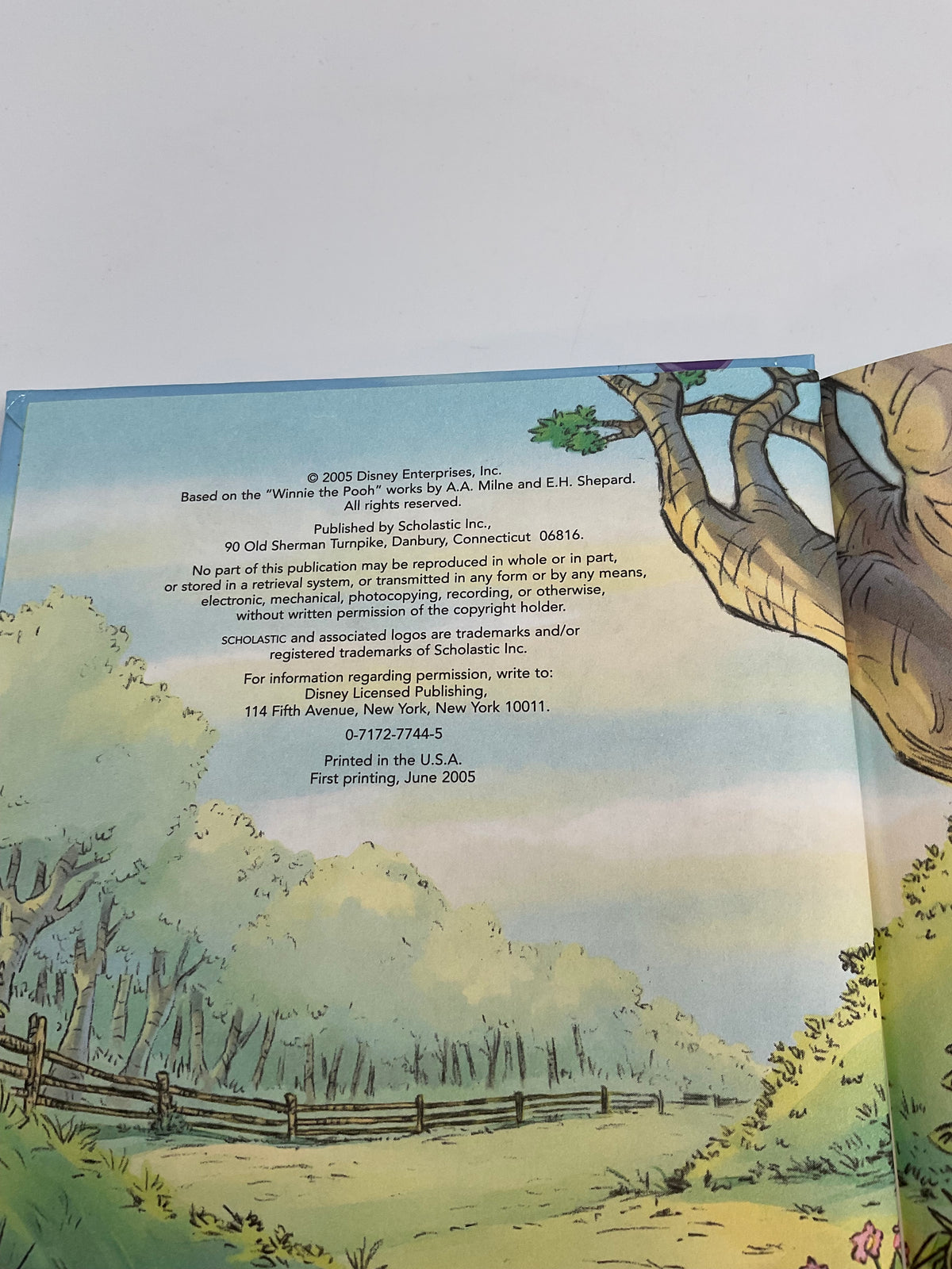 Set of 5 Children's Disney Books
