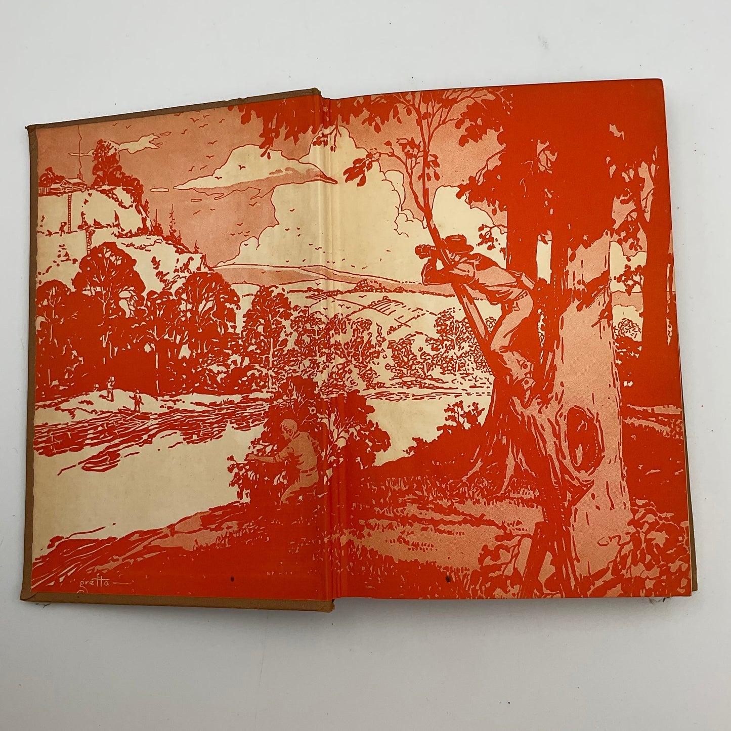 The Mystery of Cabin Island Hardcover Book by Franklin W. Dixon