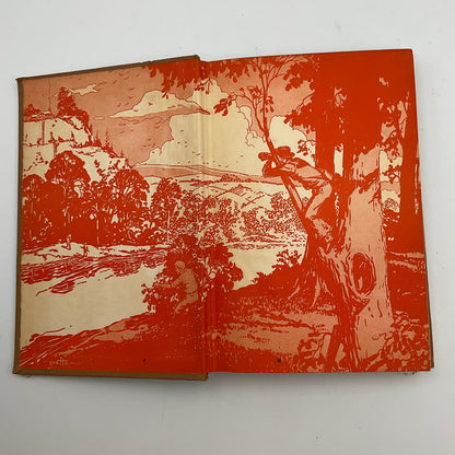 The Mystery of Cabin Island Hardcover Book by Franklin W. Dixon